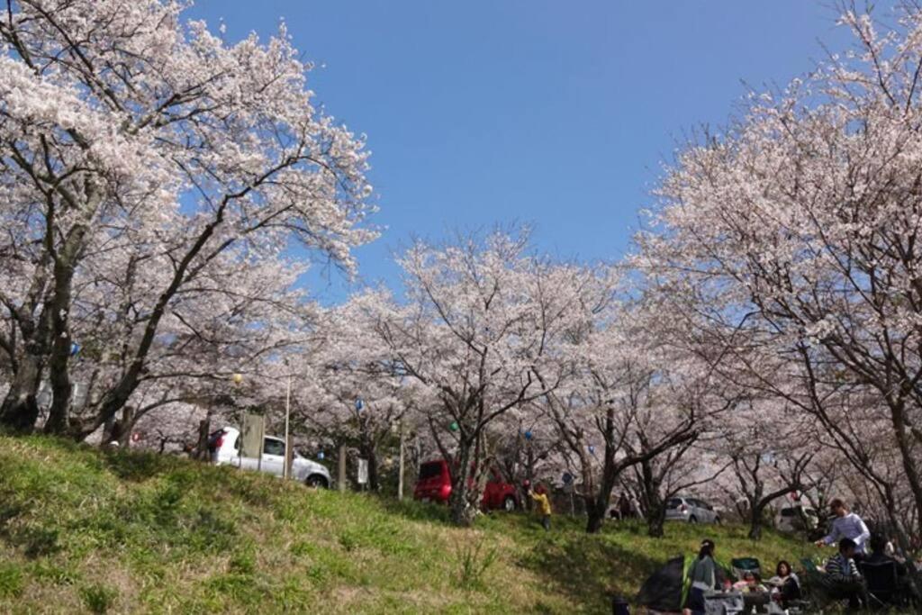 天然温泉！古民家風の貸切り一軒家 【白山リバーサイドコテージ 】2-120号棟 Villa Tsu Buitenkant foto